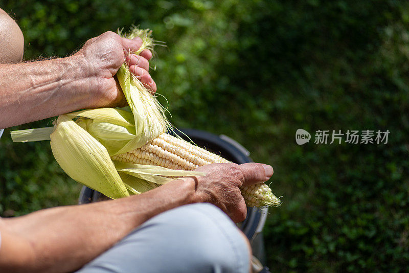 一名男子在室外的院子里剥新鲜的甜玉米