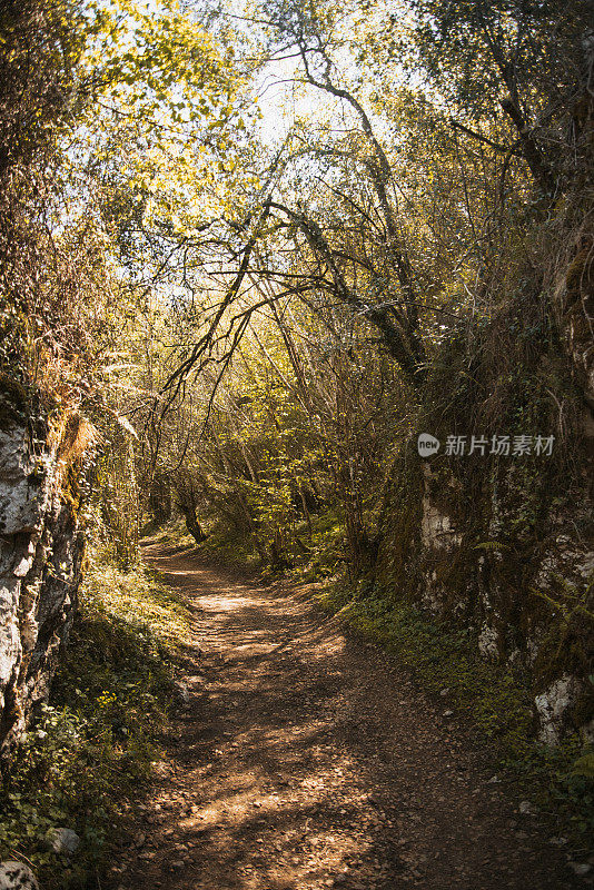 农村地区的公路