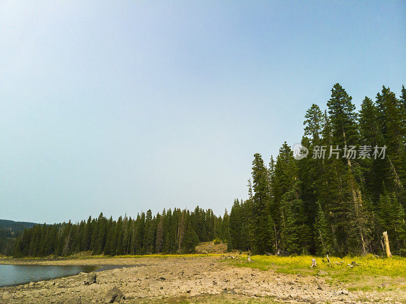 微风和煦的夏日风景大Mesa国家森林摄影系列