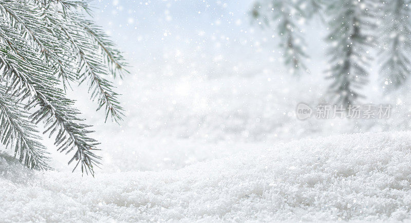 全景横幅与圣诞节冬季背景。松树枝覆霜雪，拷贝空间