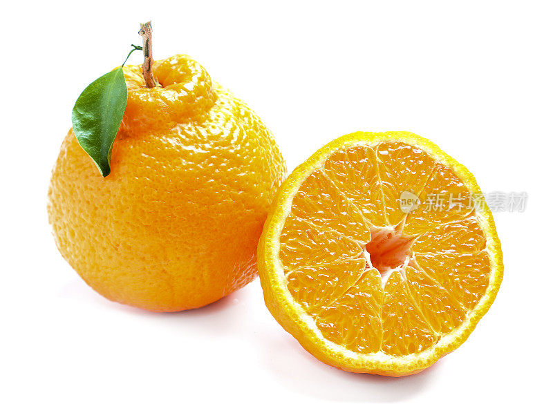 白底上的丑橘