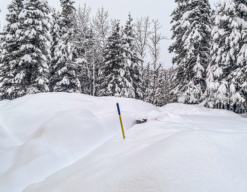 大量的雪铲