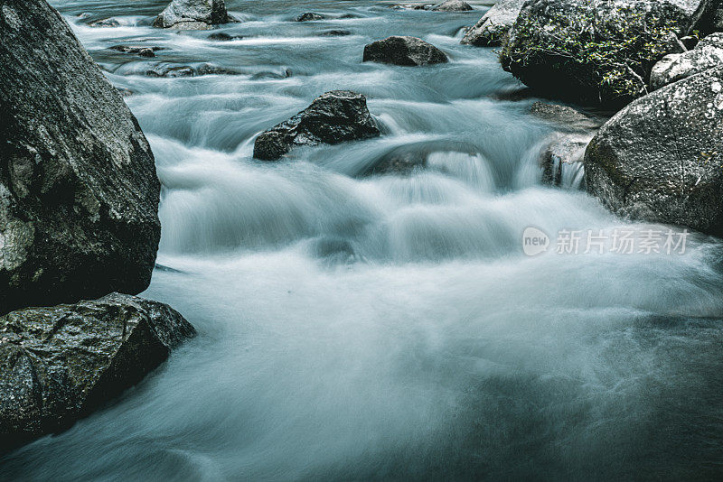 热带雨林河