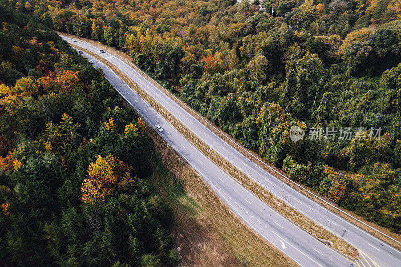 充满活力的树木成行的道路通向山区