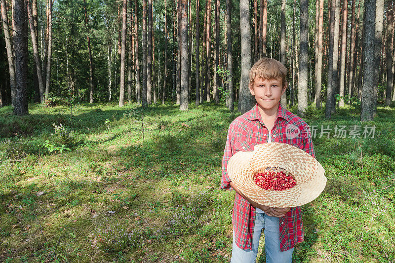 一个男孩的肖像，拿着一顶满是森林浆果的宽帽子
