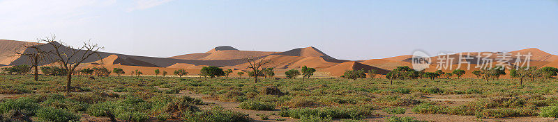 纳米比亚沙丘全景