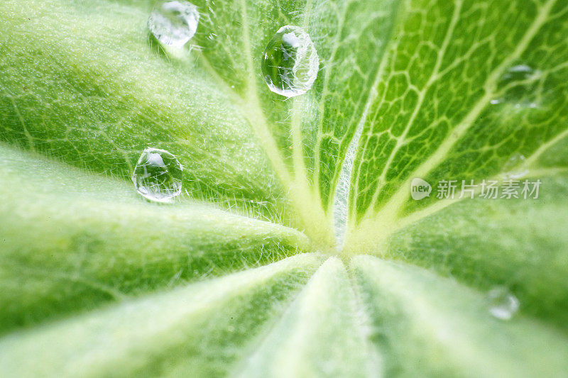 雨过天晴