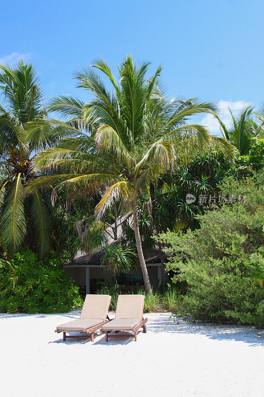 马尔代夫的沙滩和日光浴床