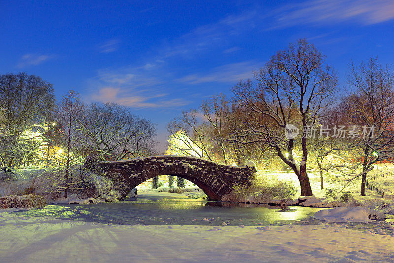 纽约市中央公园夜间的盖普斯托桥