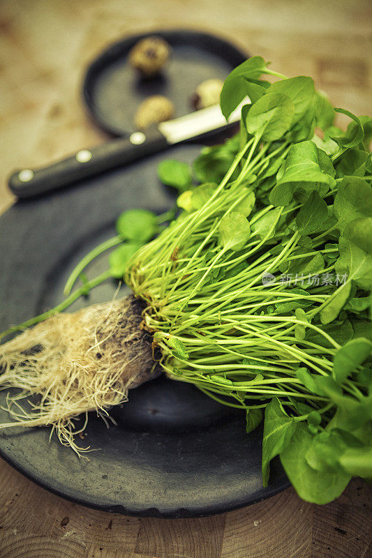 新鲜的豆瓣菜