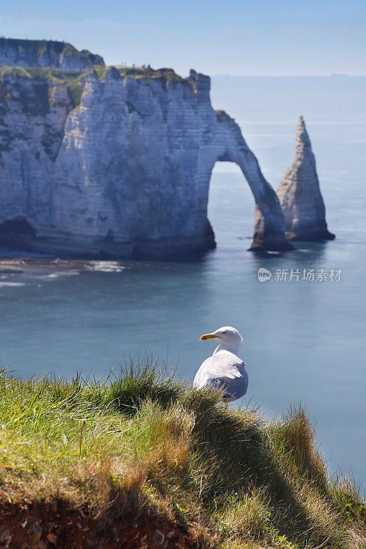 诺曼底的悬崖Étretat