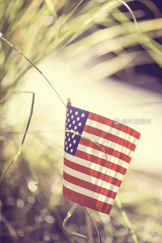 小美国国旗在风中飘扬
