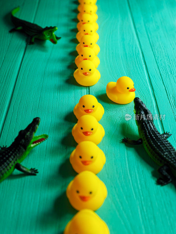 橡皮鸭子在一张旧的绿松石木桌上排成一排，周围是橡皮鳄鱼，有一只鸭子打乱了顺序。