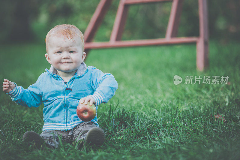 可爱的红发小男孩在苹果园的草地上玩耍