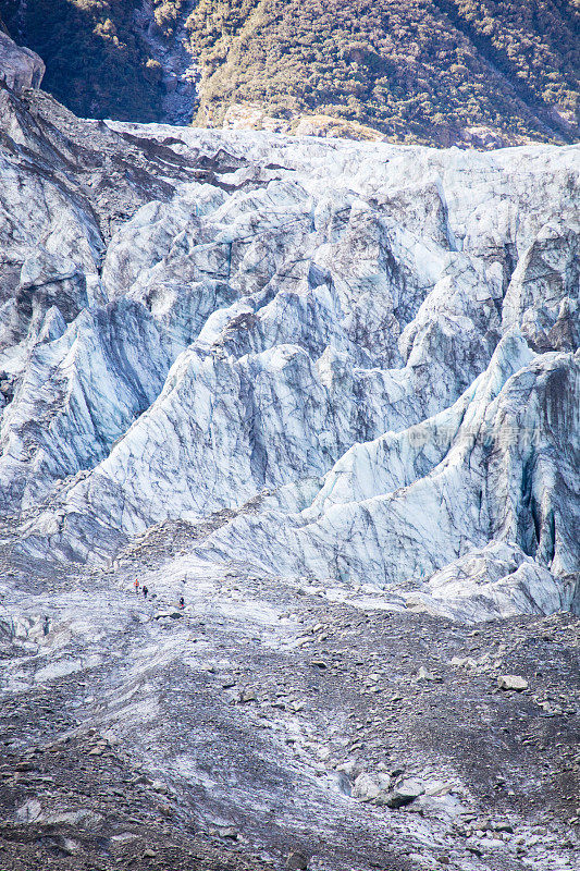 狐狸冰川靠近新西兰南岛