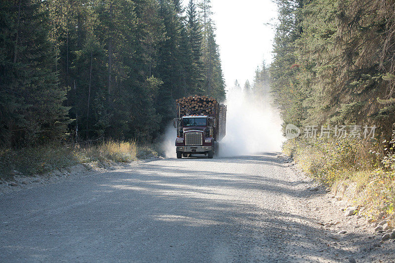 木材的卡车