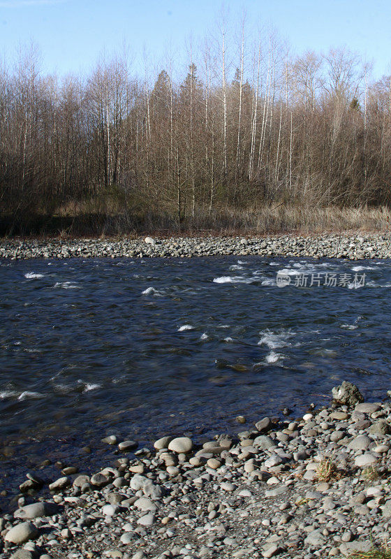 冬天小溪的低流量
