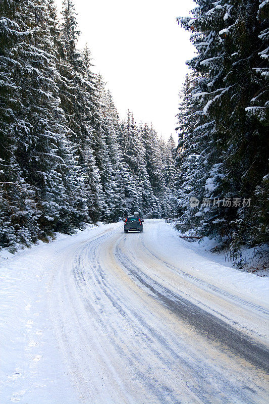 下雪的森林道路