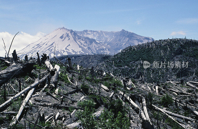 圣海伦斯山1988年破坏树木火山口圆顶