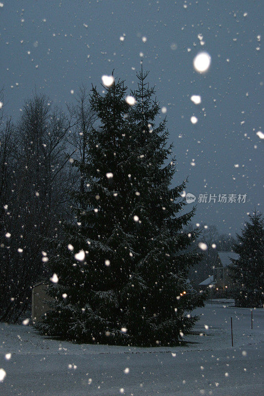 下雪的夜晚