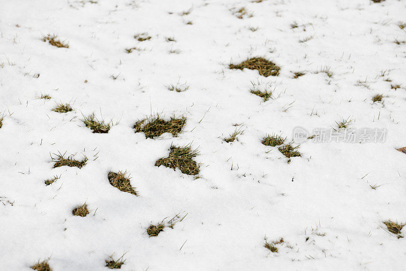 雪