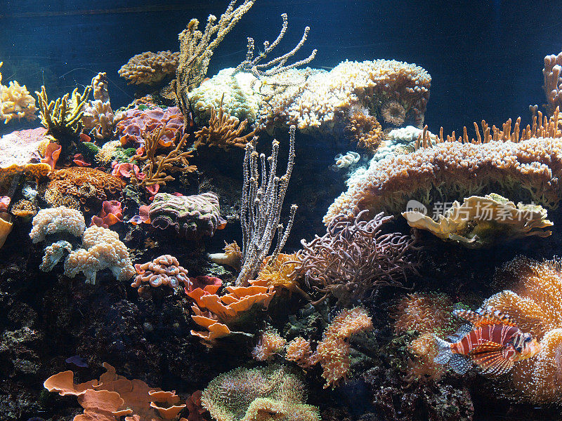 热带海洋水族馆