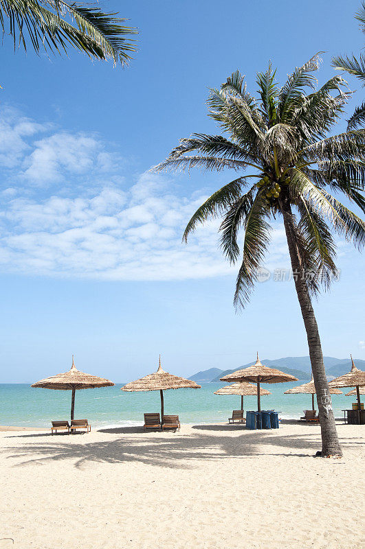 越南芽庄田园诗般的热带海滩景色