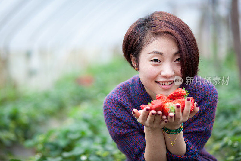 亚洲女人在草莓温室