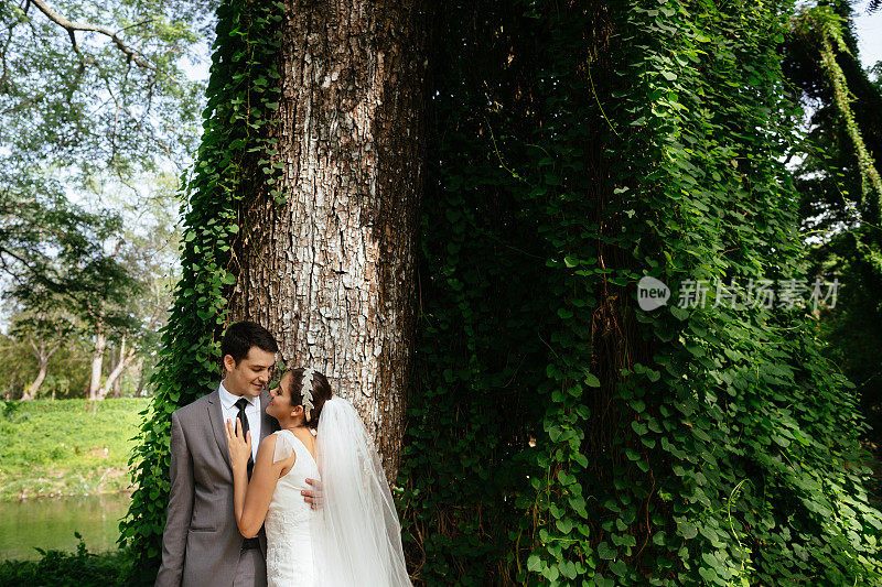 新婚夫妇互相拥抱在树旁