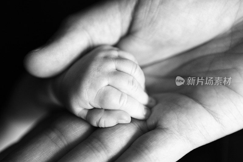 新生儿的手在父母手中