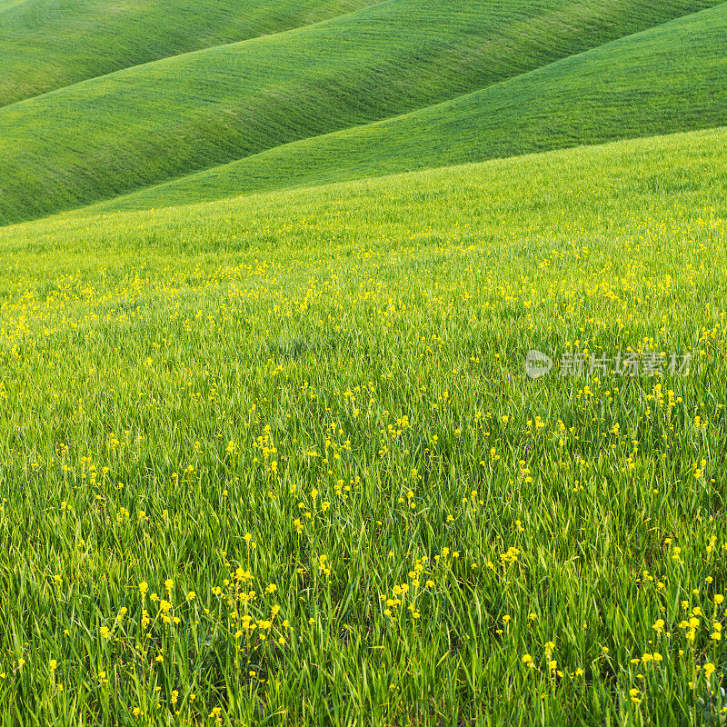 托斯卡纳连绵起伏的风景