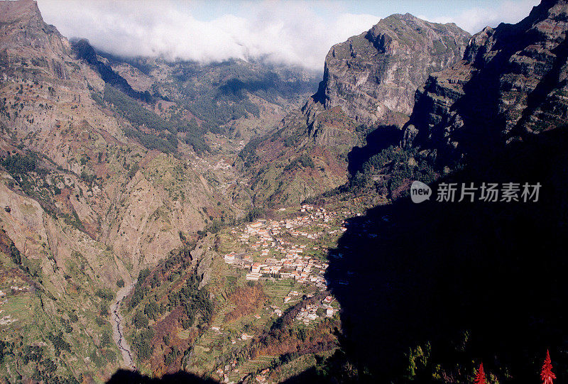 马德拉岛(修女圈)