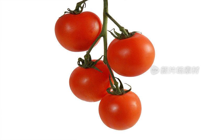 我来到Tomatoes