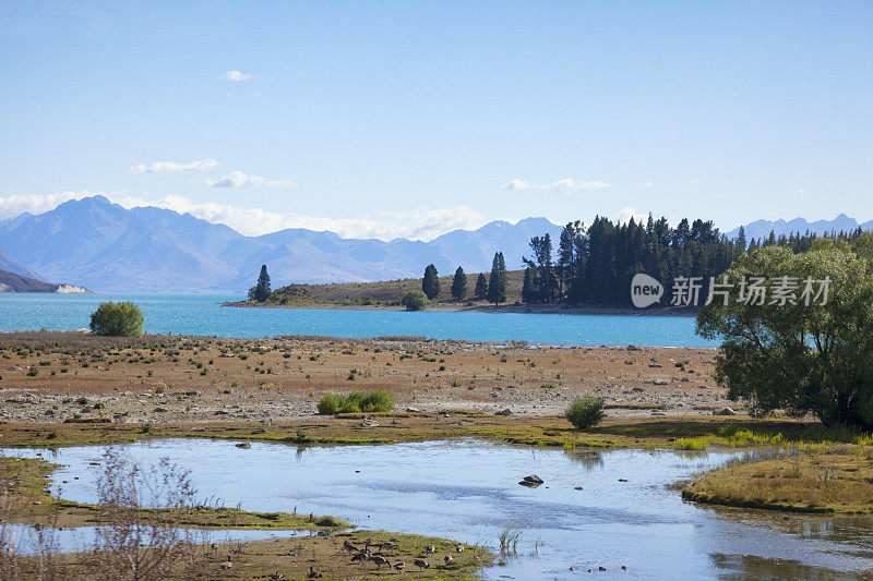 新西兰南阿尔卑斯山的特卡波湖