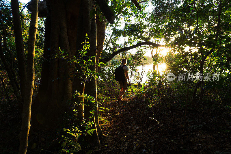 阳光照亮了徒步旅行者周围的丛林