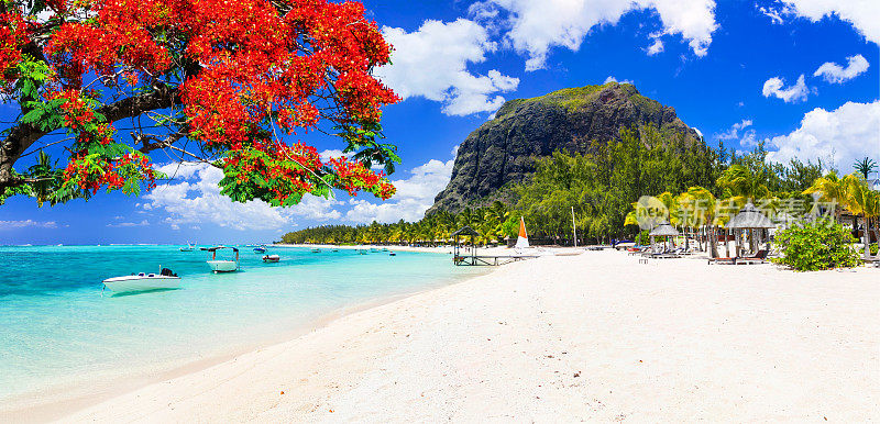 阳光明媚的毛里求斯岛美丽的海滩。热带度假