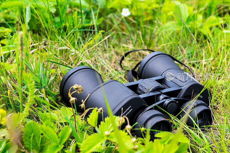 双筒望远镜在绿色草地上的特写