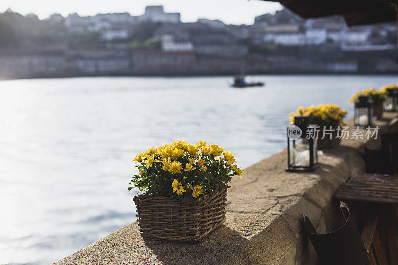 杜罗河岸边的波尔图，一排装在篮子里的黄色雏菊
