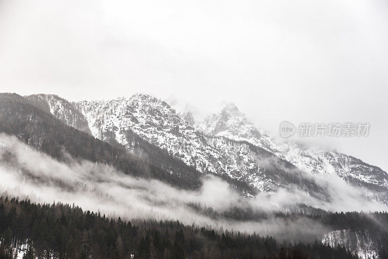 白色的风景