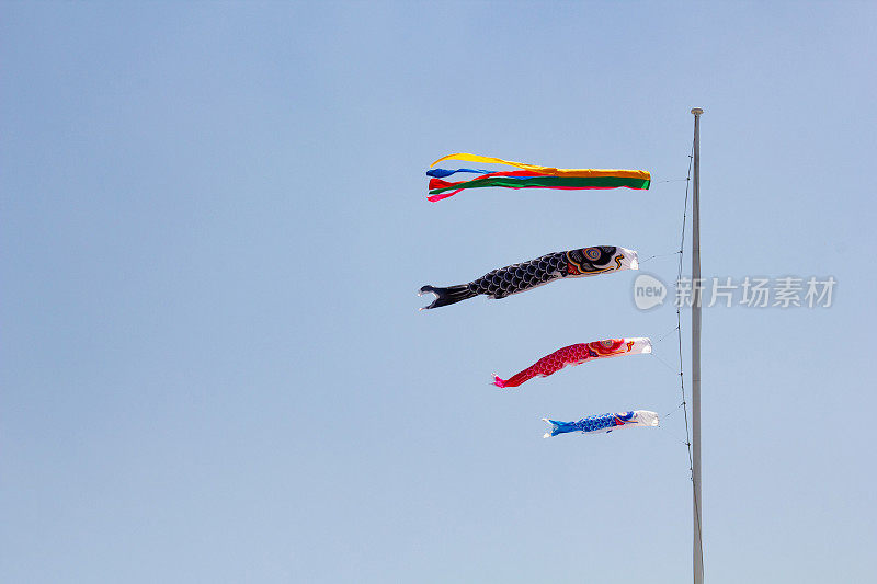 Koinobori,鲤鱼等浮电缆