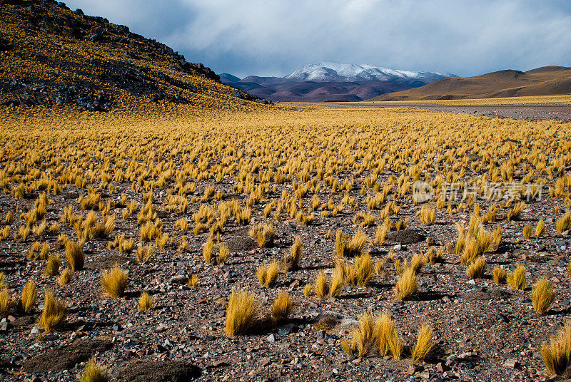 智利阿塔卡马沙漠附近的阿根廷卡塔马卡火山和印卡华西火山