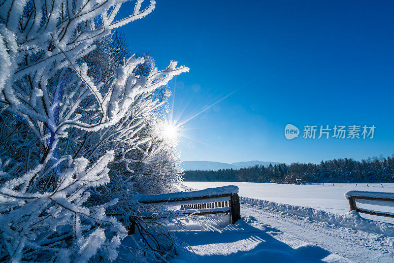 乡村冬天的风景有雪，阳光和清澈的蓝天