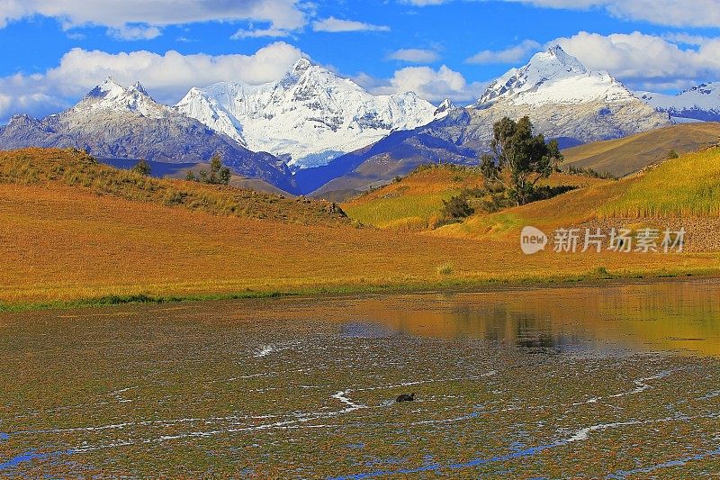 秘鲁内格拉-斯卡什的维卡查湖和科迪勒拉布兰卡的全景