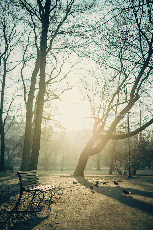 早上好，在克拉科夫公园的长椅上