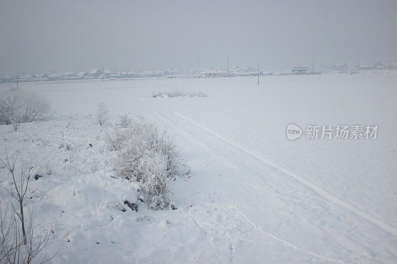 冬天雪风景画