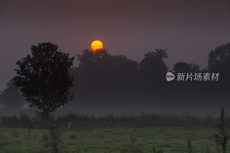 东弗里斯兰雾蒙蒙的草地上的日落