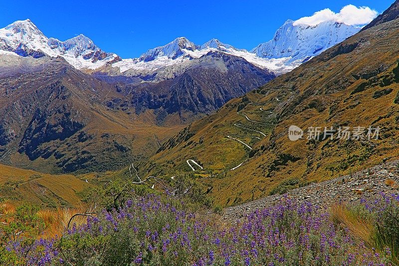 秘鲁安科齐拉·布兰卡山脉路