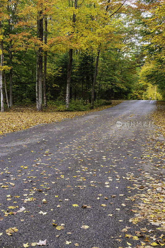 秋季公路旅行，密歇根州