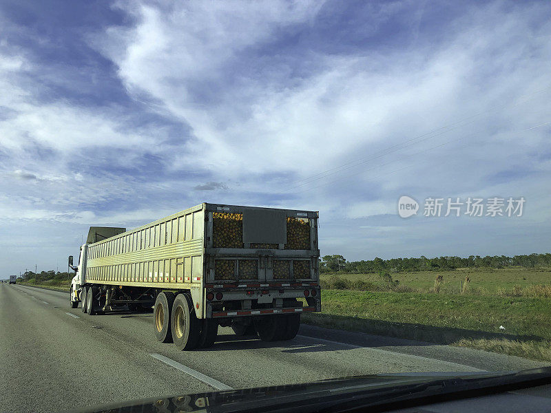 高速公路上的半卡车装载着橙子，透过挡风玻璃可以看到
