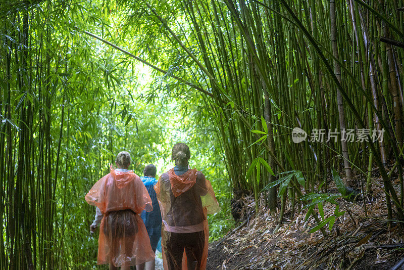 茂宜岛皮皮瓦伊小径上的徒步旅行者